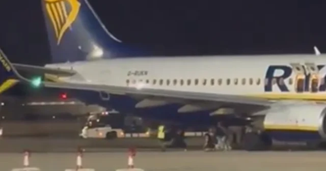 2b19e4a9 0601 4b39 abb5 6f3696508788