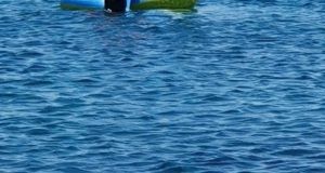 37260629 ef70 40b2 934b fba904c2fd6a