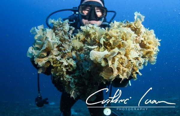 482343448 2809847045863997 2839012820233084200 n 482343448 2809847045863997 2839012820233084200 n