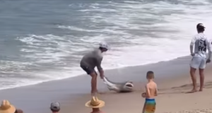 50fe955d 34c9 434a b6f0 0f486995ccdc