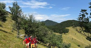 518193955 1161652902666573 7922457404042532345 n