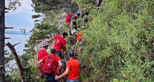 53fd1b0c 1236 48ea 8cb5 d7ca313965a7