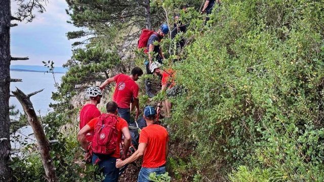 53fd1b0c 1236 48ea 8cb5 d7ca313965a7