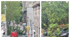 MixCollage 06 Jul 2025 08 26 PM 1542