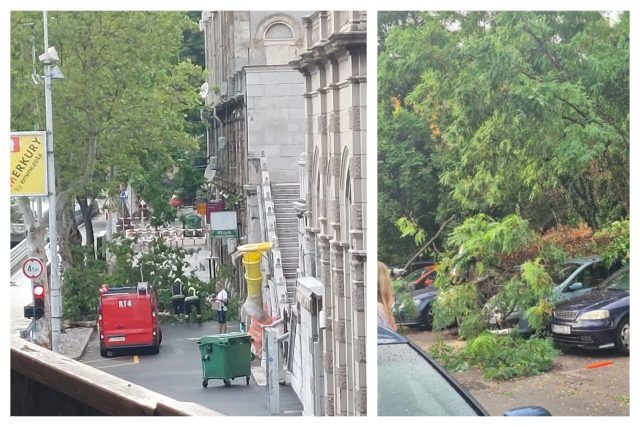 MixCollage 06 Jul 2025 08 26 PM 1542