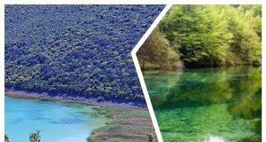 MixCollage 08 Jul 2025 09 46 PM 3312