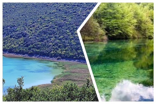 MixCollage 08 Jul 2025 09 46 PM 3312