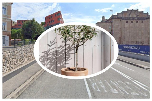 MixCollage 09 Jul 2025 04 42 PM 3486