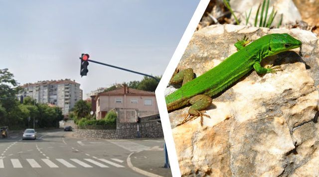 Raskrižje na Zametu Raskrižje na Zametu