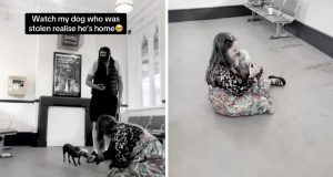 cd594597 0ae3 4ca6 a018 ed32c5712a53