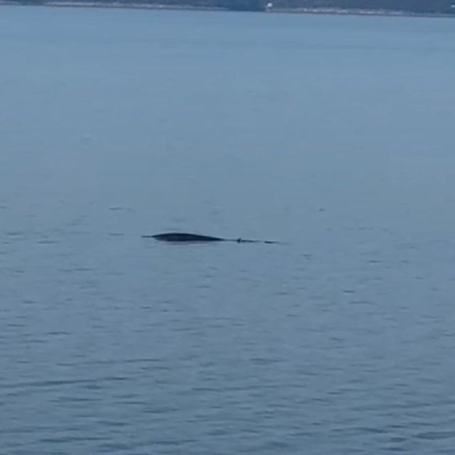 ed6728ef a8fa 4fb7 84a4 55e61d4fefbc