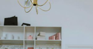 pexels anastasia shuraeva 5705498