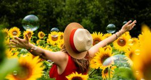 pexels andre furtado 43594 1263985