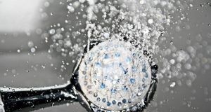 pexels pixabay 161502 (3)