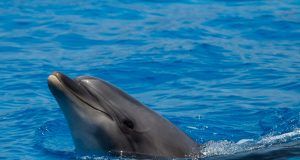 pexels wwarby 19599882