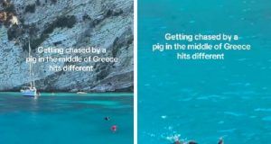 14b7ead9 c54f 4777 a969 d10a91b59c61