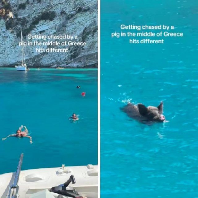 14b7ead9 c54f 4777 a969 d10a91b59c61