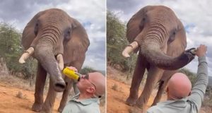 2e05c573 a2f8 4128 9bc2 d69e87872fdb