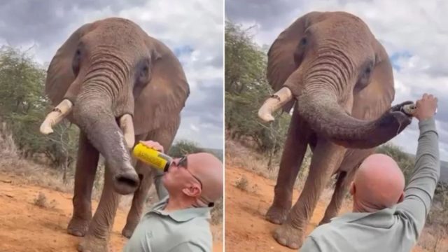 2e05c573 a2f8 4128 9bc2 d69e87872fdb