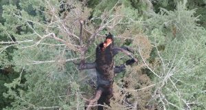 51be08fd 7da8 4527 87b7 a197354cb801