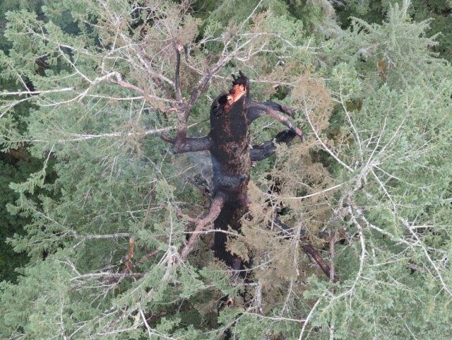 51be08fd 7da8 4527 87b7 a197354cb801 51be08fd 7da8 4527 87b7 a197354cb801