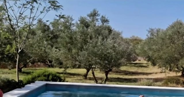 65fe35e6 fd1a 4a84 8362 aaa19ebd237a