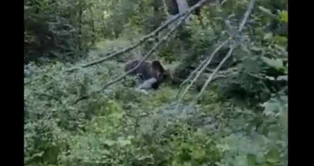 7ddfcd31 a791 4403 83cb 25524e77e824