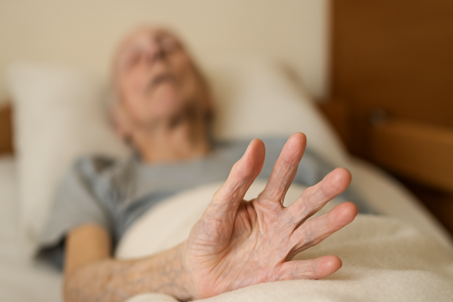 ChatGPT Image Aug 12, 2025, 09 11 24 AM