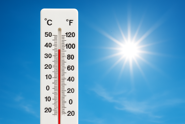 ChatGPT Image Aug 15, 2025, 05 23 01 PM ChatGPT Image Aug 15, 2025, 05 23 01 PM