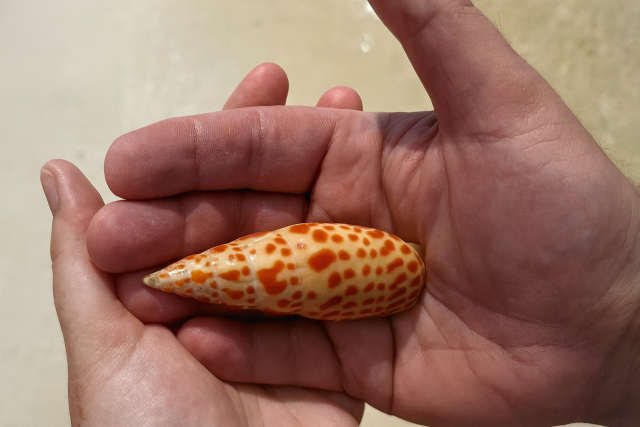 ChatGPT Image Aug 28, 2025, 03 07 06 PM