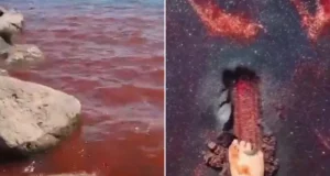 H 66804fa8 17ad 4cb1 a76a 86b5a94bf07e 760