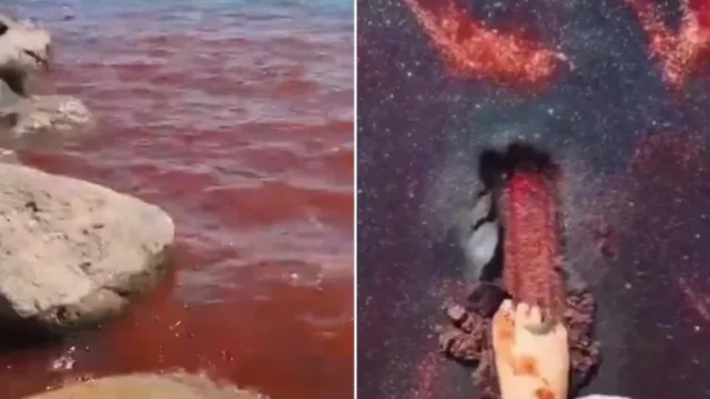 H 66804fa8 17ad 4cb1 a76a 86b5a94bf07e 760