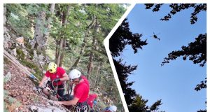 MixCollage 16 Aug 2025 05 37 PM 27