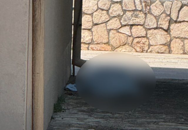 Tijelo žene foto facebook