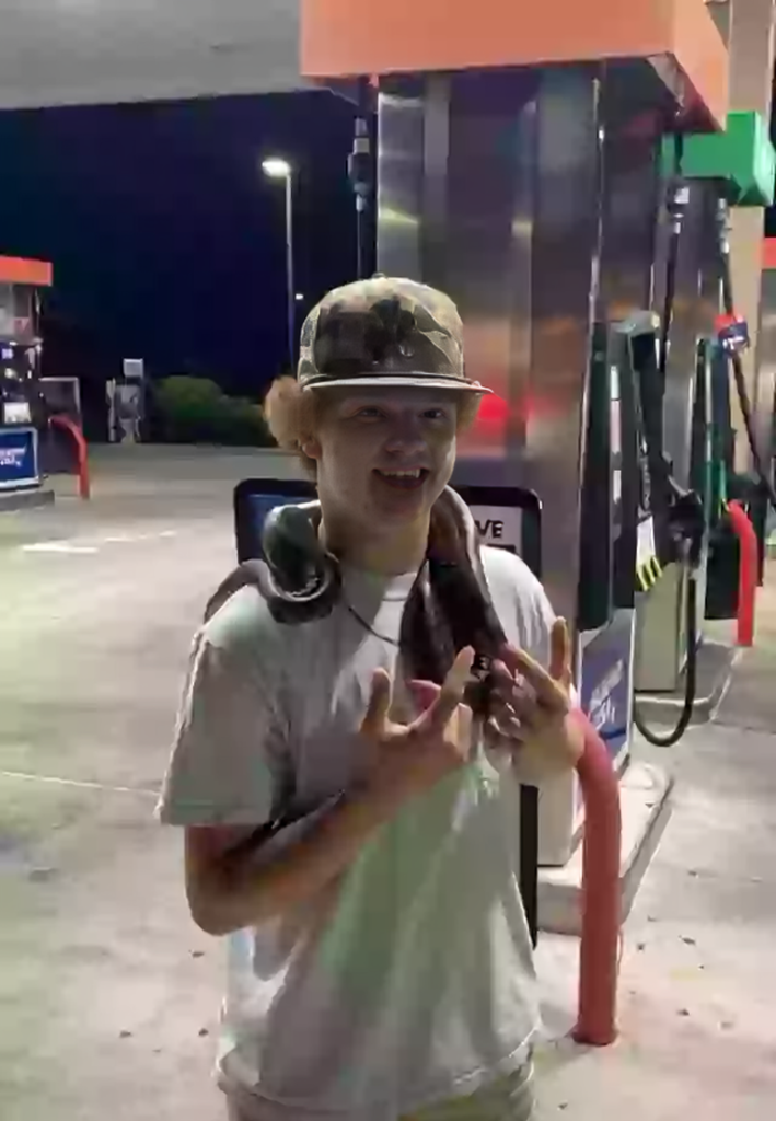 b2a6f5c9 a98f 4cfe a8f2 06b7ab313c41