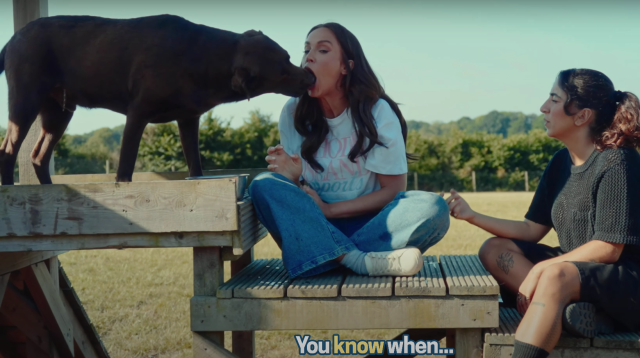 b5cd86ea b6ae 4849 804a 66932cb5debe