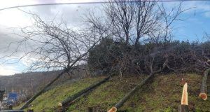 received 823470793241023 640x480