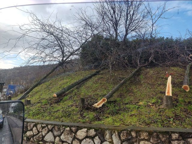 received 823470793241023 640x480 received 823470793241023 640x480