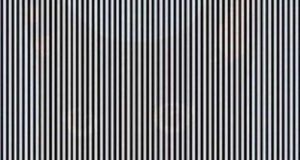 529a8de616f294b8021f