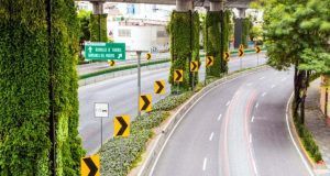 555891622 1215704623934760 6647552675042864852 n