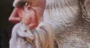 89268159decd18d92fcc