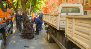 9b05ba44 6da2 43fb b70a 5fd58f1b6aa7