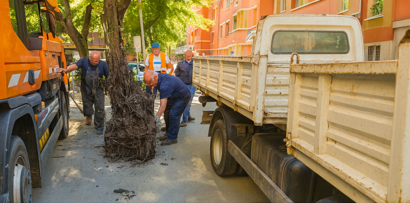 9b05ba44 6da2 43fb b70a 5fd58f1b6aa7