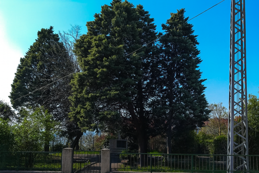 ChatGPT Image Sep 18, 2025, 05 32 36 PM