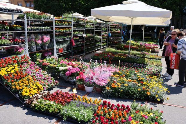 Cvjetni sajam 1 900x600