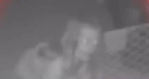 H 84f4cf50 c736 4fbc b6fd 21121aeb9418 760