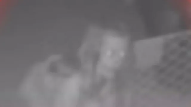 H 84f4cf50 c736 4fbc b6fd 21121aeb9418 760