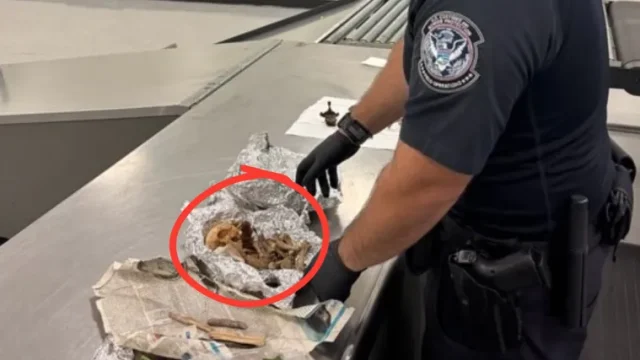 H 8c9f8f69 94fe 4dc0 890e fe022f1e7d6b 760