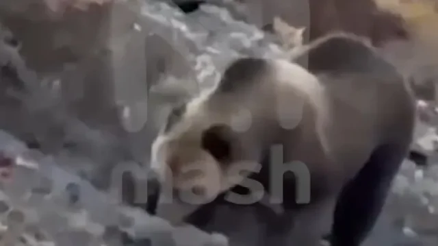 H e6fb3d32 dbde 4e77 afc9 70be1df5ab53 760