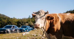 Porsche SUV Off Road PR (18)